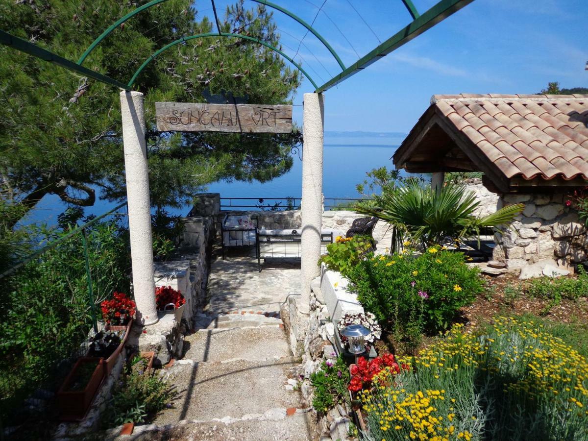 Vila House Dobrila Igrane Exteriér fotografie