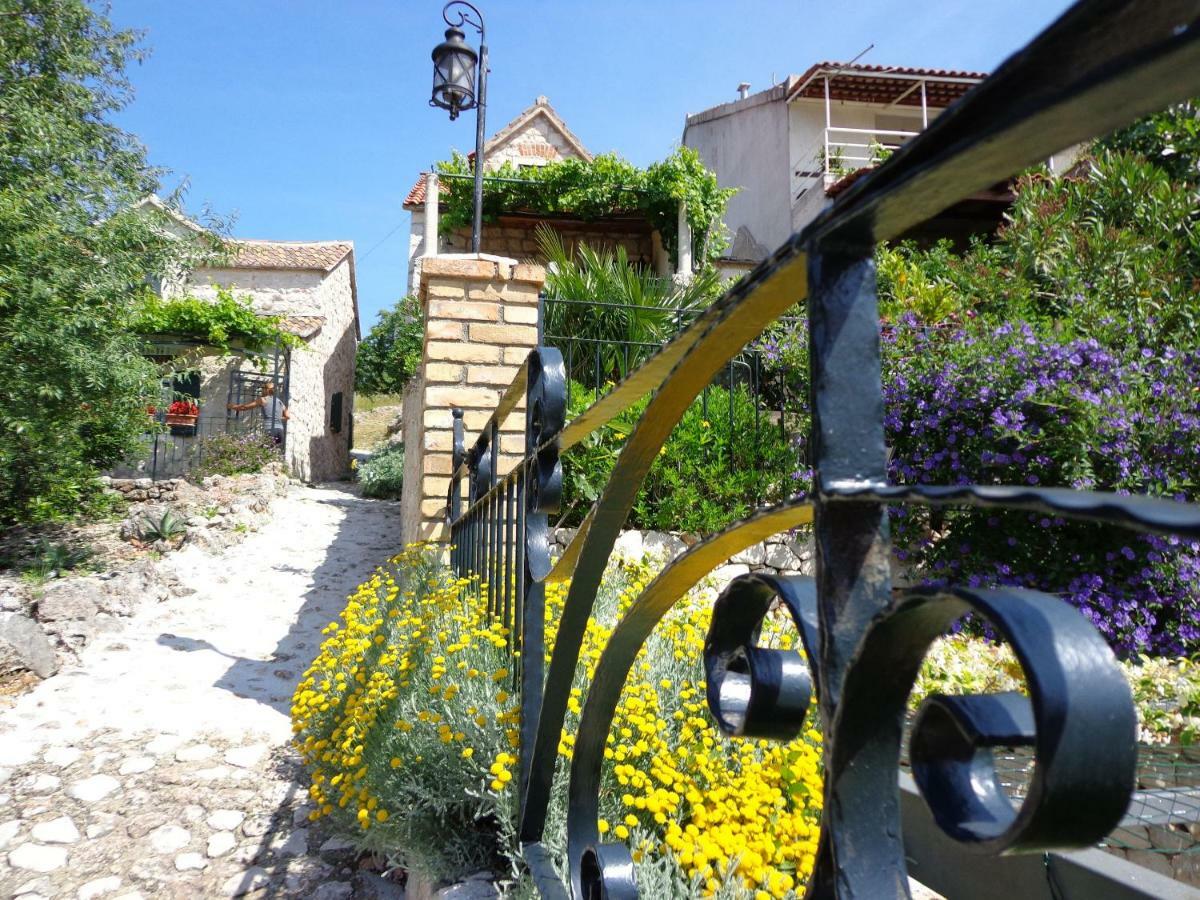 Vila House Dobrila Igrane Exteriér fotografie